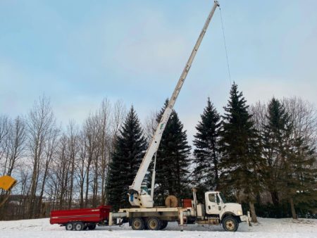 Next Level Tree Services Ottawa year round service tree removal and tree branch removal using crane truck