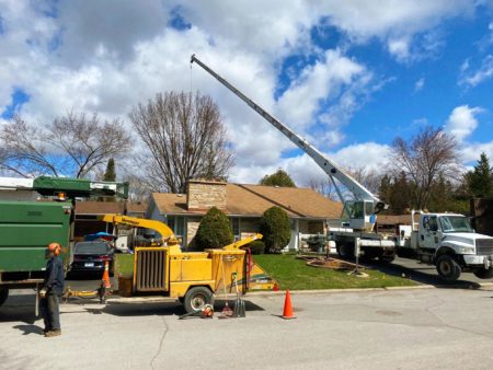 Next Level Tree Services Ottawa backyard professional tree removal and tree branch removal using crane truck
