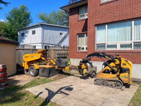 Next Level Tree Services Ottawa professional stump grinding, stump removal using specialized equipment