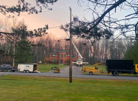 Next Level Tree Services Ottawa residential tree removal using crane truck
