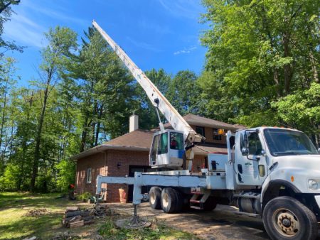 Next Level Tree Services Ottawa offers residential backyard tree branch and tree limb removal services using crane trucks