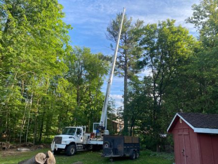 Next Level Tree Services Ottawa crane truck for expert tree branch and tree limb removal