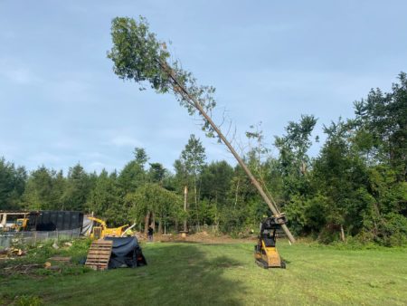 Next Level Tree Services Ottawa lot clearing and property clearing services