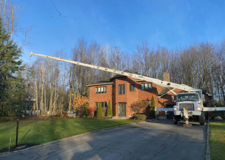 Next Level Tree Services Ottawa tree removal service using a crane to reach difficult locations