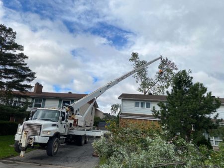 Next Level Tree Services Ottawa backyard branch removal with crane truck