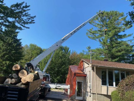 Next Level Tree Services Ottawa backyard branch removal crane truck
